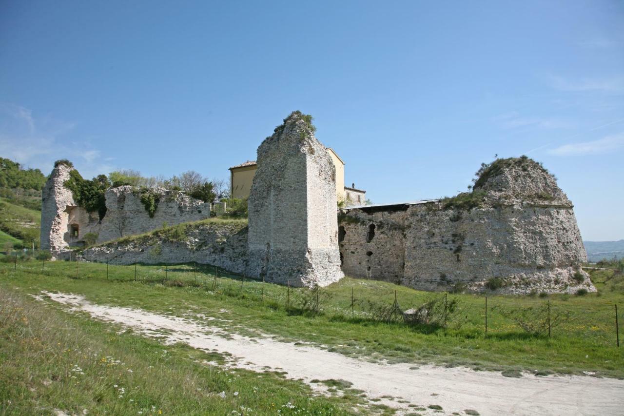 Il Cavallino Fossombrone Exteriör bild